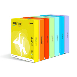 Maestro® Color Pastell Kleinverpackung gemischt sortiert - FSC®